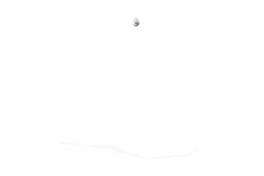 White photo isolated on a transparent background png