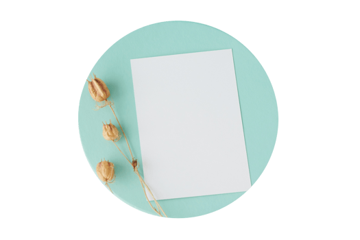 Blue plate with white paper and dried flowers isolated on a transparent background png