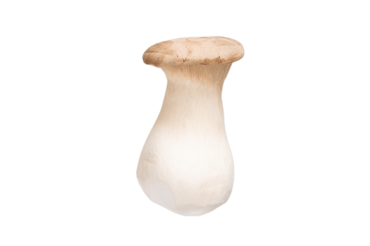Vegetables mushroom isolated on a transparent background png