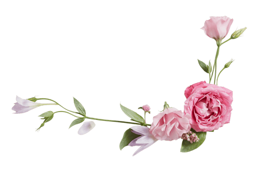 Pink flowers isolated on a transparent background png