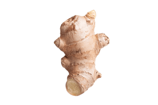 Ginger isolated on a transparent background png