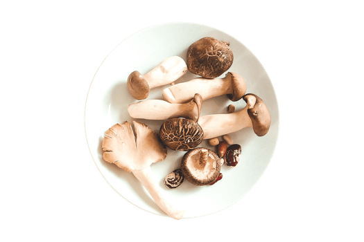 Mushroom isolated on a transparent background png