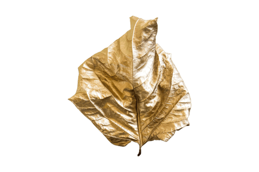Golden leaf isolated on a transparent background png