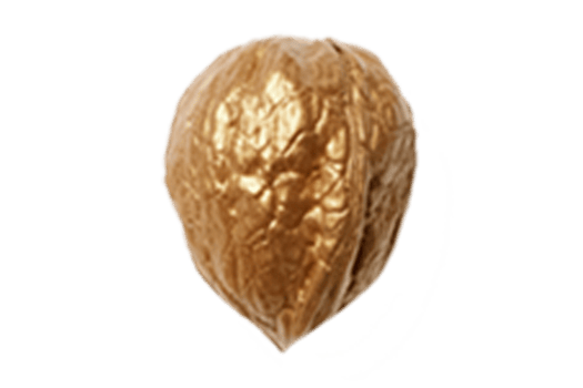 Golden seed isolated on a transparent background png