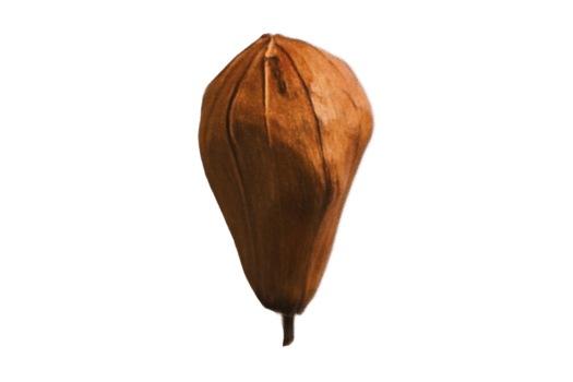Dried eggplants isolated on a transparent background png