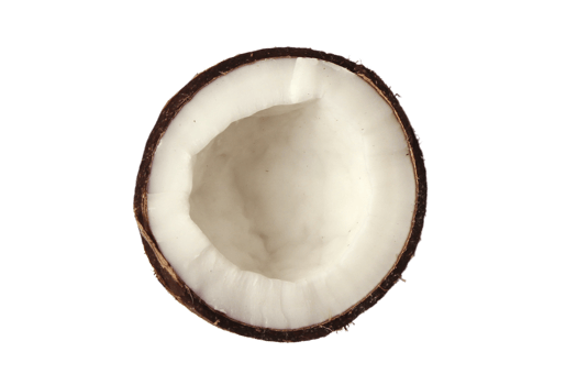 Half coconut isolated on a transparent background png