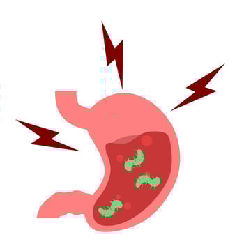 stomach. gastric disease. stomach ache. digestive process. gastric bacteria. gerd vector
