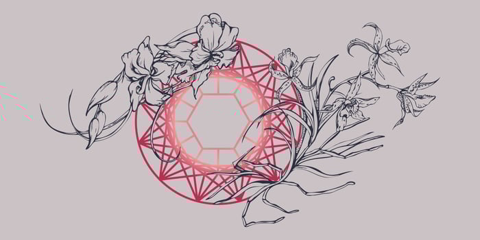 Hand drawn vector ink orchid flowers and branches, monochrome, detailed outline. Composition with crystal form. Viva magenta color. Design for wall art, wedding, print, tattoo, cover, card.