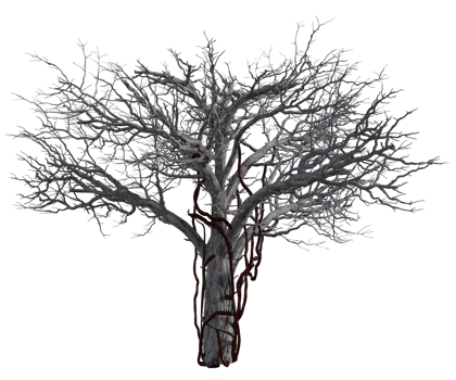 Spooky tree isolated, 3d render png
