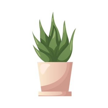 Cactus succulent houseplant in pot. Indoor potted house plant in flowerpot. Home garden, greenhouse, florarium, gardening lover. Domestic store poster, banner, flyer, advertising, promo. vector