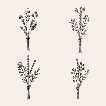Hand drawn flower collection vector