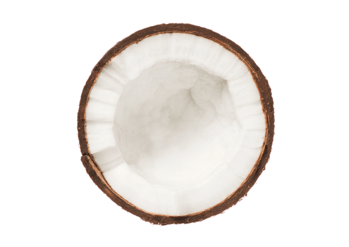 Half coconut isolated on a transparent background png