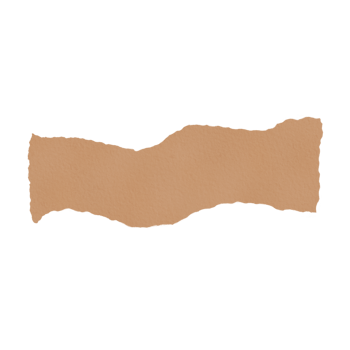 torn ripped paper sheet. png