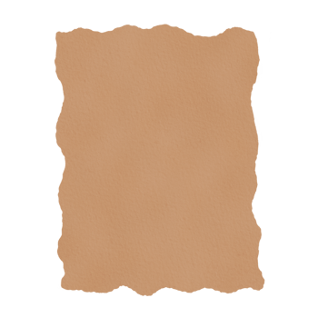 torn ripped paper sheet. png