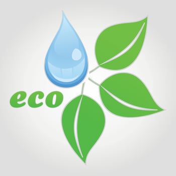 Drop of water and green plant. A vector illustration