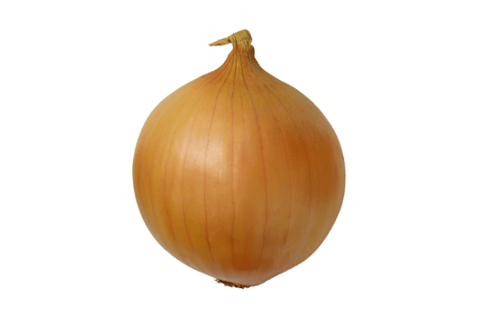 Brown onion isolated on a transparent background png