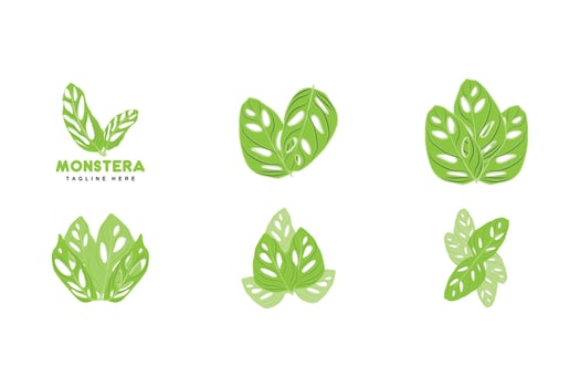 Monstera adansonii Leaf Logo, Green Plant Vector, Tree Vector, Rare Leaf Illustration vector