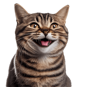 Happy cat, smiling cat on transparent background png