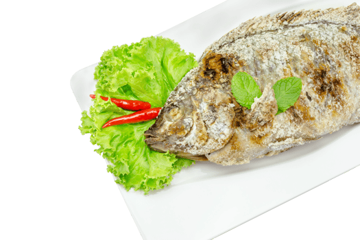fish grilled with salt  isolated png