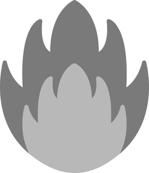 Fire Vector Icon