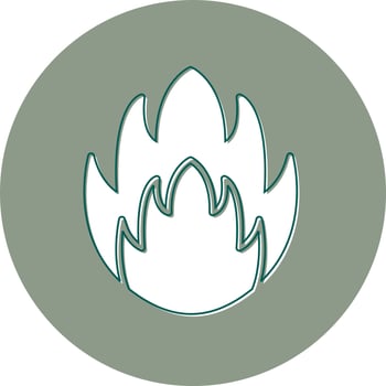 Fire Vector Icon