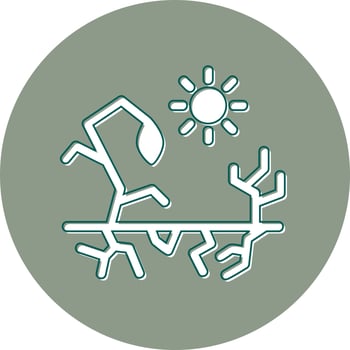 Drought Vector Icon