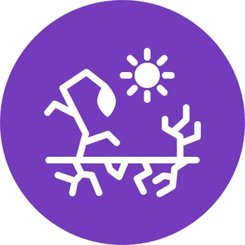 Drought Vector Icon