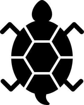 Turtle Vector Icon