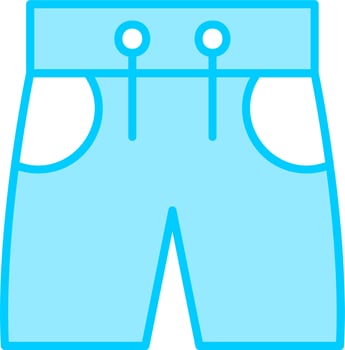 Swimsuit Shorts Vector Icon