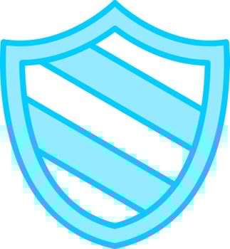 Shield Vector Icon