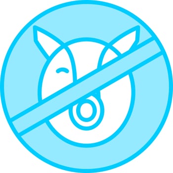 Haram Vector Icon
