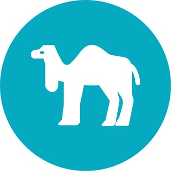 Camal Vector Icon