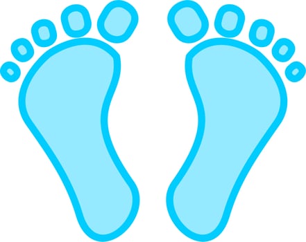 Digital Footprint Vector Icon