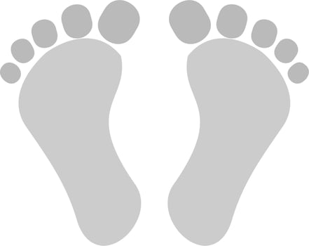 Digital Footprint Vector Icon