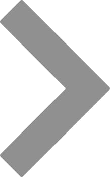 Chevron Vector Icon