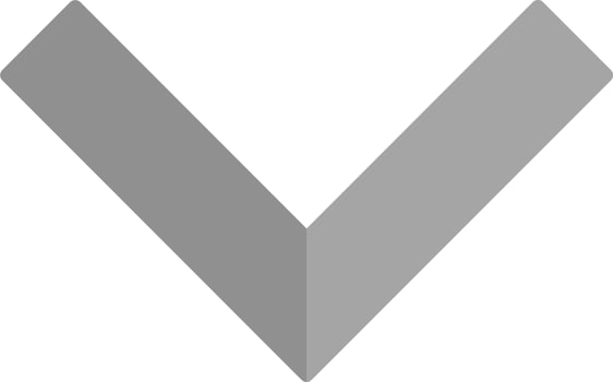 Chevron Vector Icon