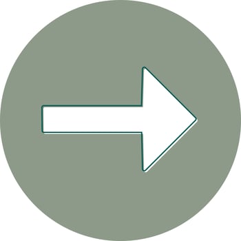 Right Arrow Vector Icon