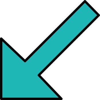 Down Left Arrow Vector Icon