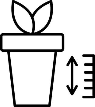 Plant Growth Chart Vector Icon