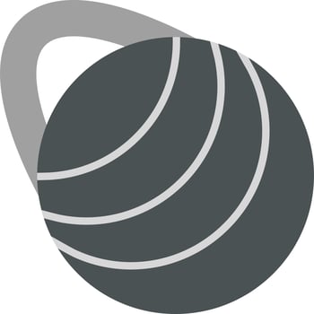 Gym Ball Vector Icon