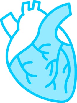 Heart Vector Icon