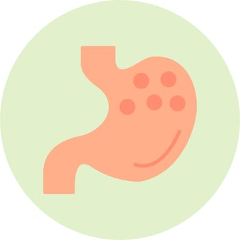 Stomach Vector Icon