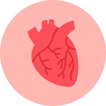 Heart Vector Icon