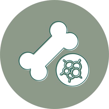 Bone Vector Icon