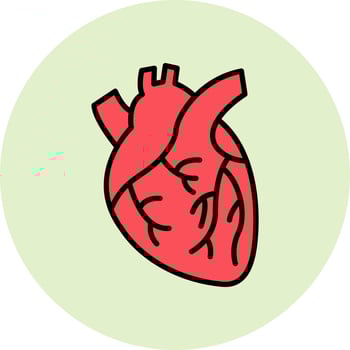 Heart Vector Icon