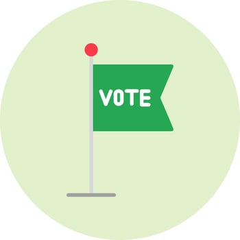 Flag Vector Icon