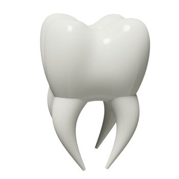3d dental molar teeth model icon isolated. health of white teeth, dental examination of the dentist, 3d render illustration png