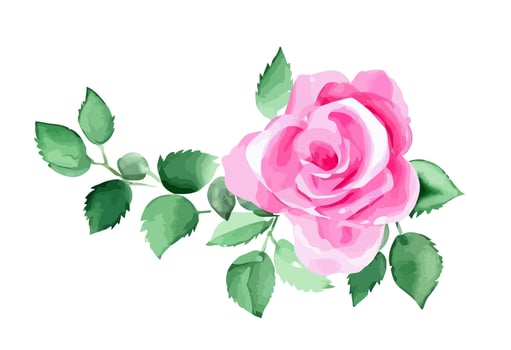 Watercolor Delicate Pink Rose vector