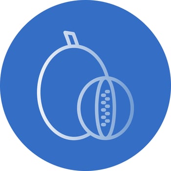 Rockmelon Vector Icon Design