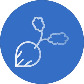 Radish Vector Icon Design